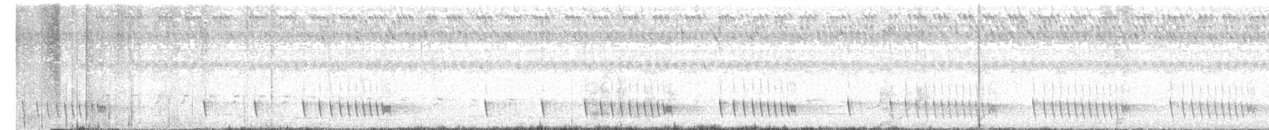 Chotacabras Hindú - ML617700969