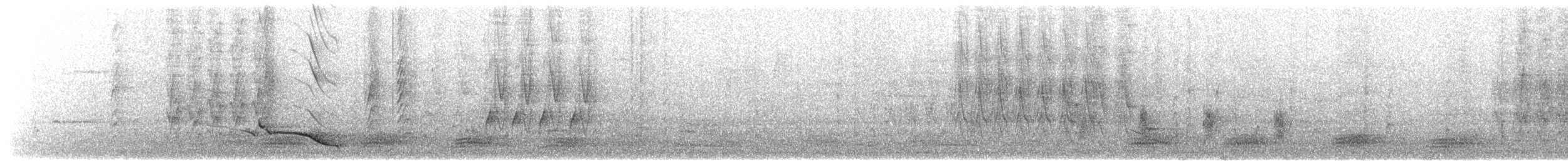 svartnakkepirol (chinensis gr.) - ML617702131