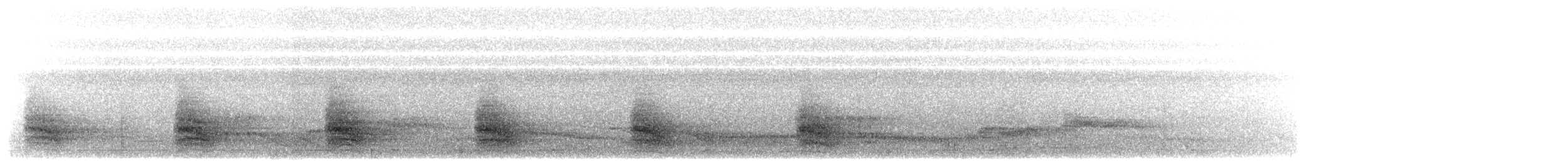 シロボシショウビン - ML617702942