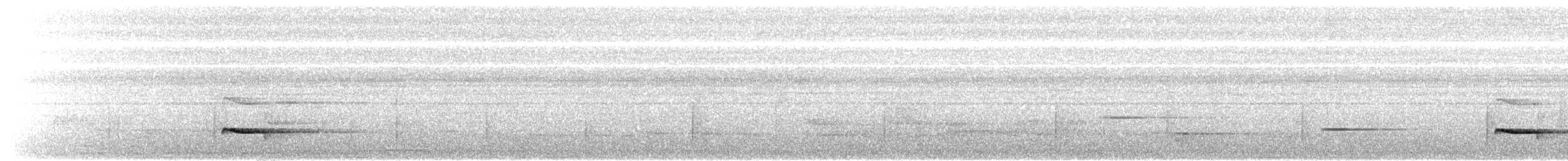 シロボシショウビン - ML617702943