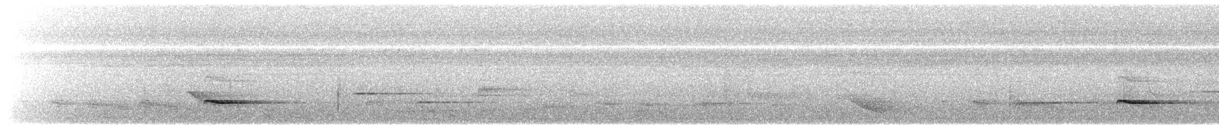 シロボシショウビン - ML617702945