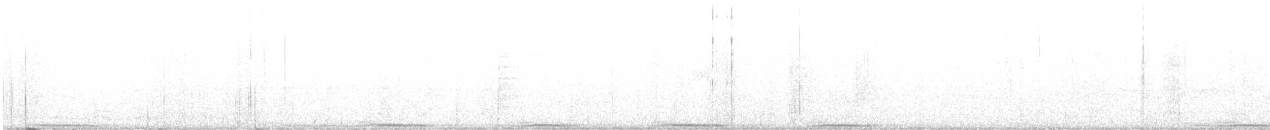 Carpophage blanc - ML617703531