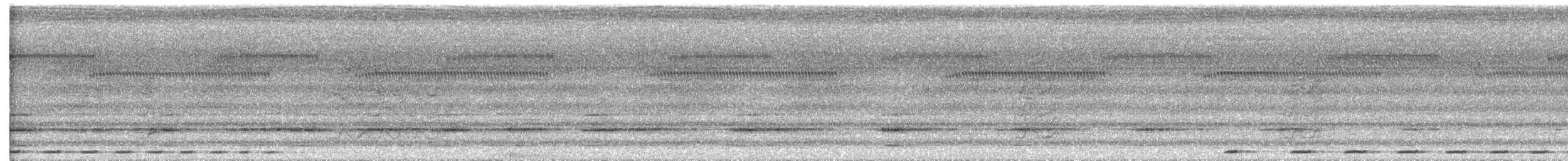Phapitréron à oreillons blancs (brevirostris/occipitalis) - ML617704876