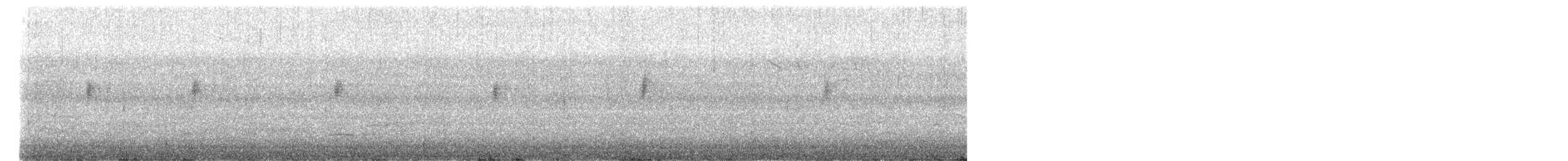White-throated Dipper - ML617707109