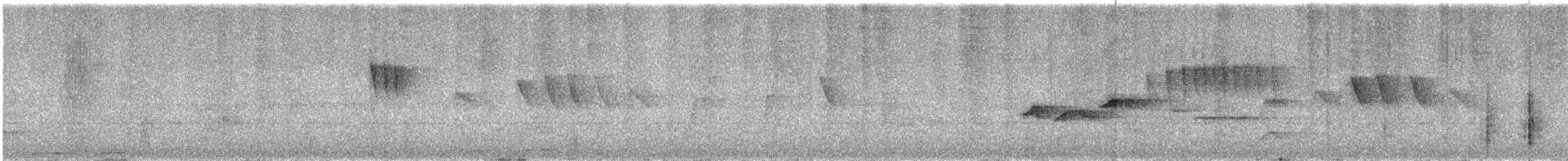 Gray-headed Canary-Flycatcher - ML617708561