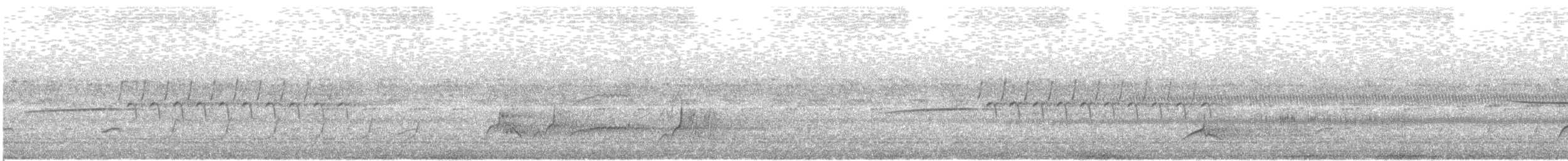 Bachman's Sparrow - ML617708606