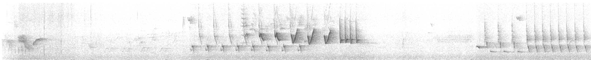 budníček iberský - ML617709862