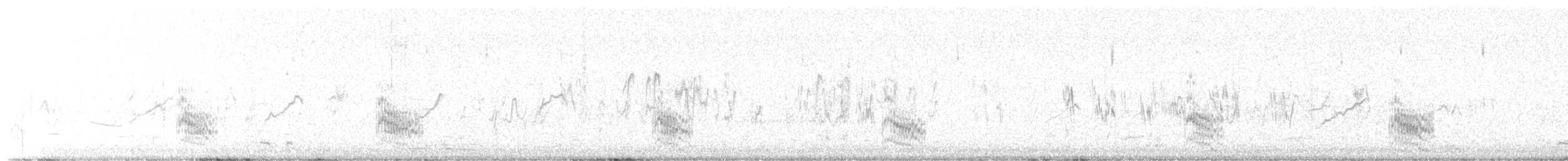 Forster's Tern - ML617714057