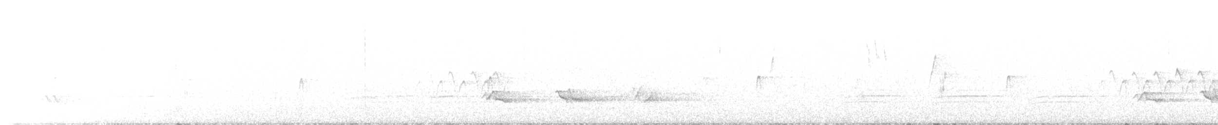 Hammond's Flycatcher - ML617714166