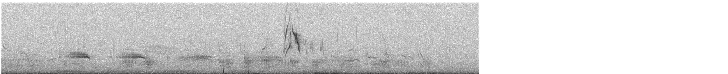 Wasserralle - ML617715459