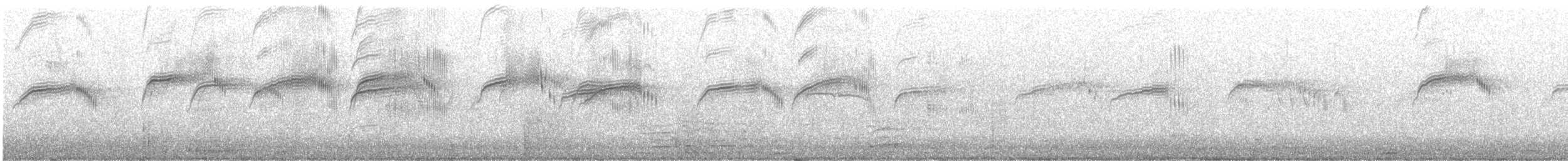 Common Swift - ML617715757