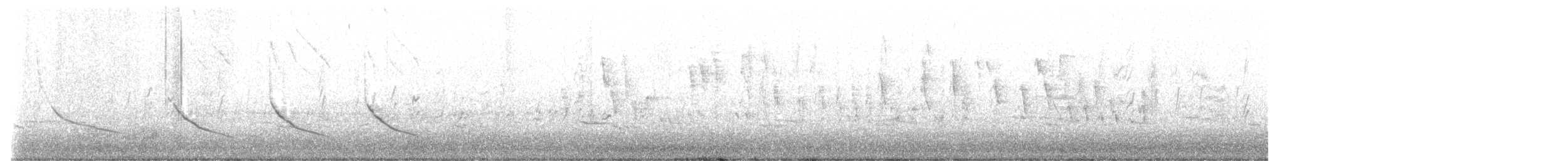 Деревенская ласточка (erythrogaster) - ML617716308
