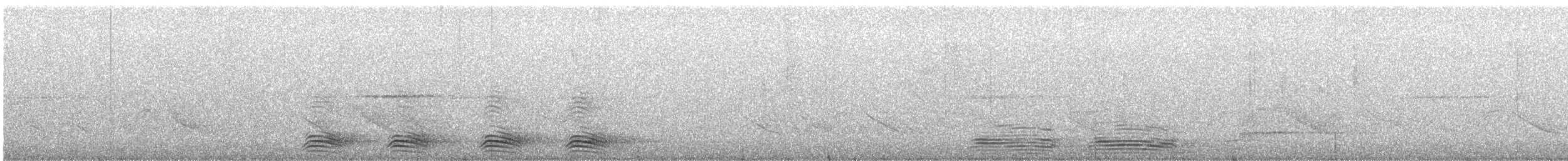 Corbeau à gros bec (groupe macrorhynchos) - ML617716587