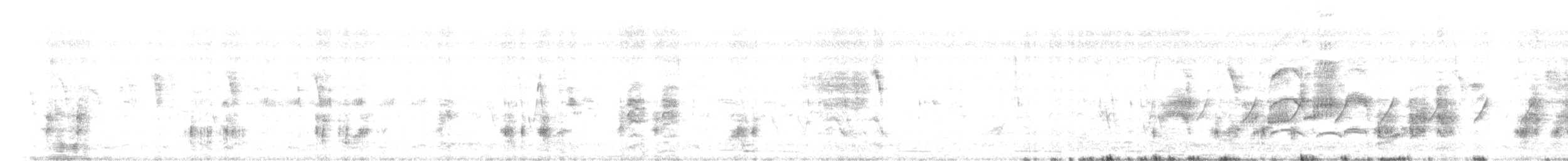 Южная дроздовидная камышевка (stentoreus/levantinus) - ML617720323