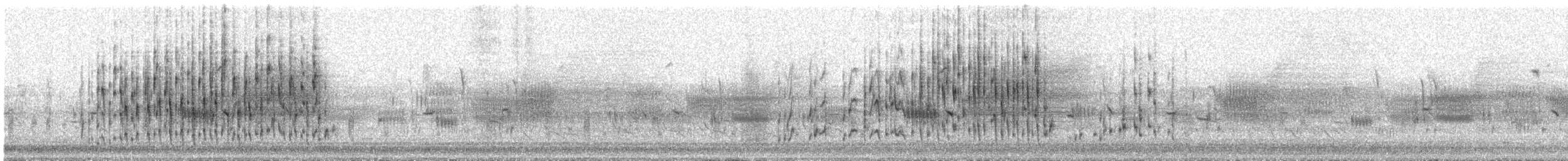 Marsh Wren (palustris Group) - ML617721593