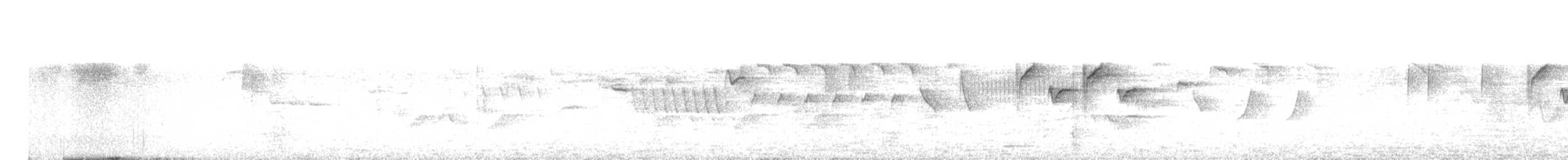 Çam Baştankarası (britannicus/hibernicus) - ML617723147