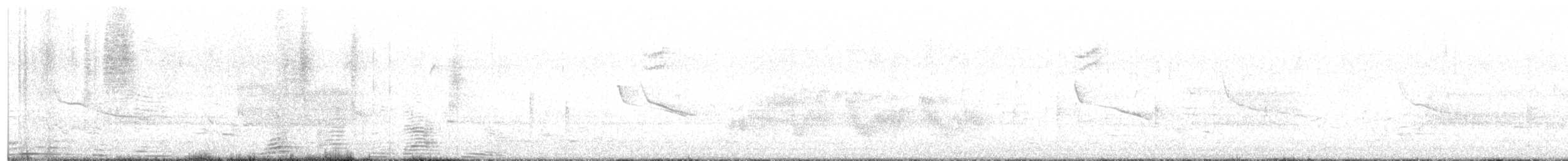 labuť trubač - ML617725218