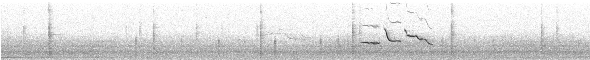 Eastern Meadowlark (Eastern) - ML617725932