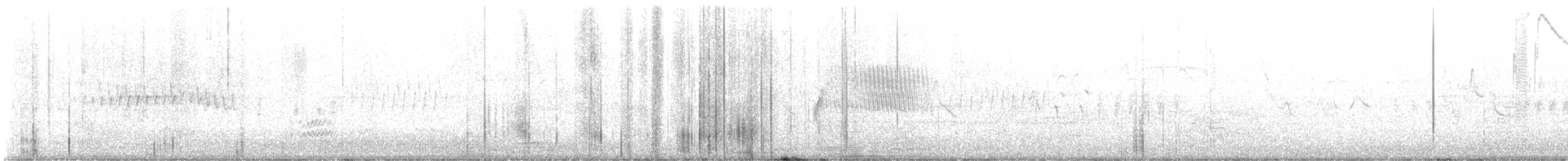 Colibri calliope - ML617727014