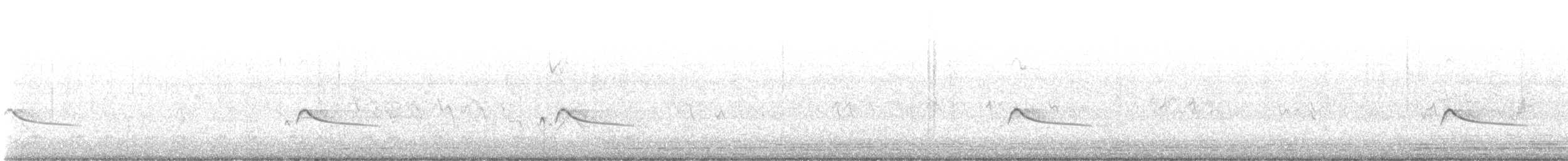 Рыжебрюхий фиби - ML617729924