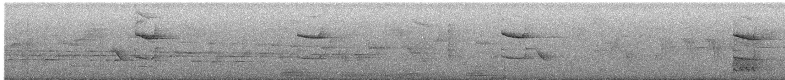 Perlkappen-Baumsteiger - ML617731327