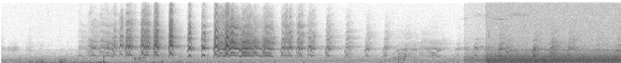 ズアカウロコインコ - ML617731876