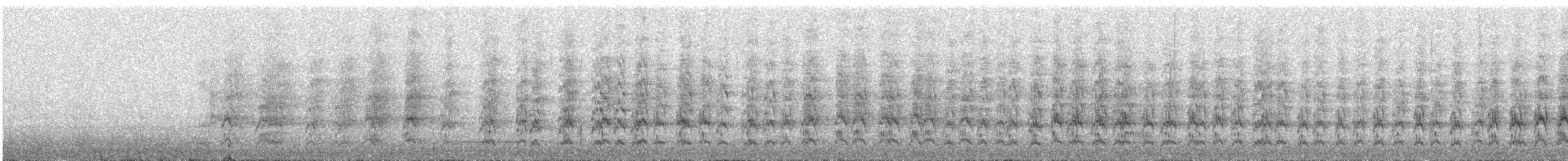 ズアカウロコインコ - ML617731901