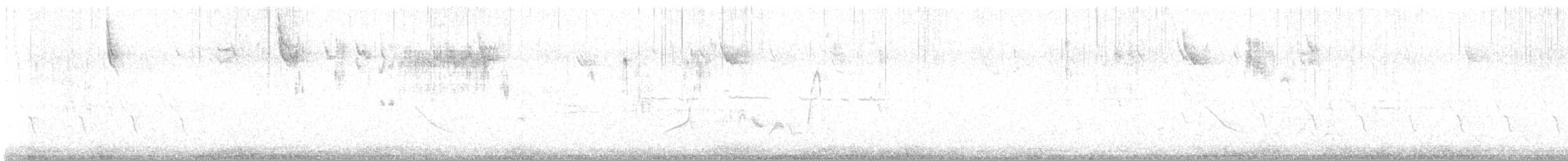 Savannah Sparrow - ML617733243