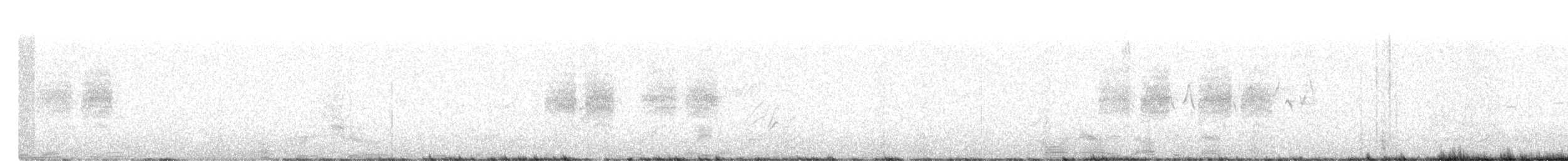 Black-tailed Gnatcatcher - ML617737717