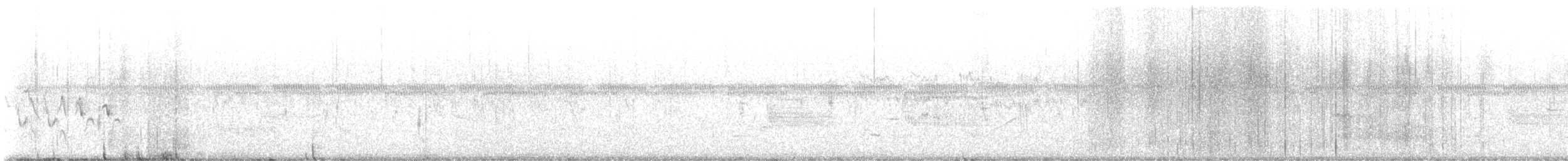 Oriole des vergers - ML617738654