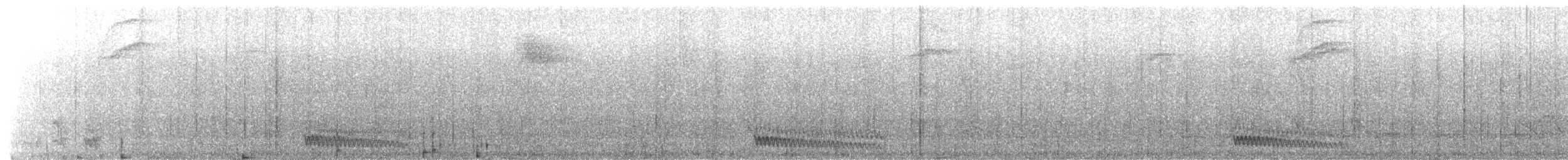 Atlantik Kara Gerdanlı Trogonu - ML617740295
