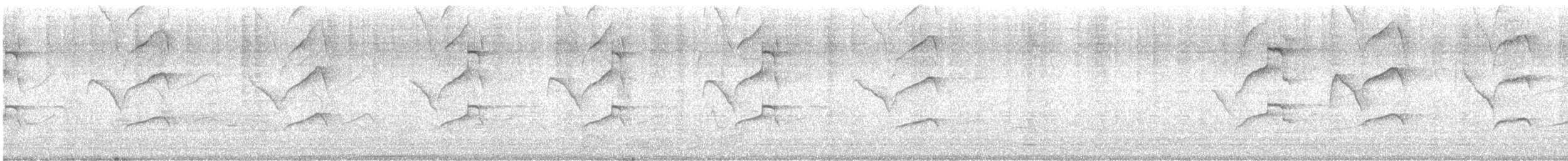 Swallow-tailed Kite - ML617741532