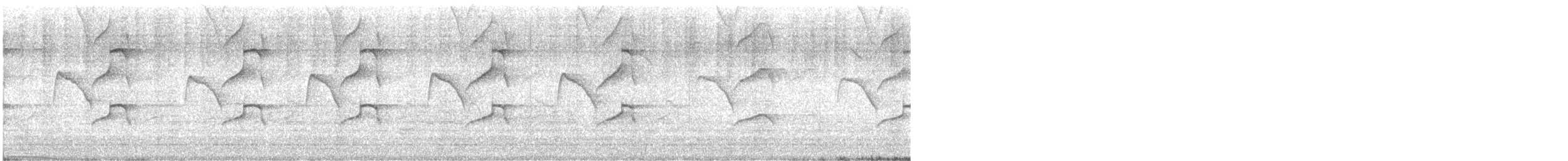 Swallow-tailed Kite - ML617741538
