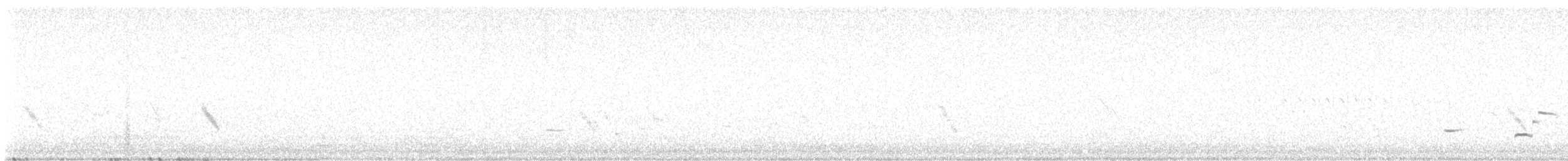 Büyük Mor Kırlangıç - ML617747389