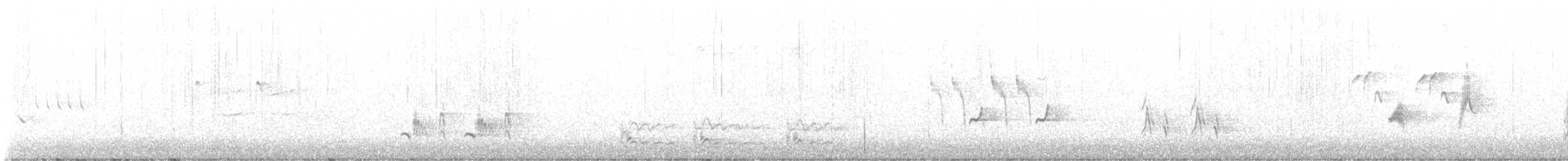 Brown Thrasher - ML617749113