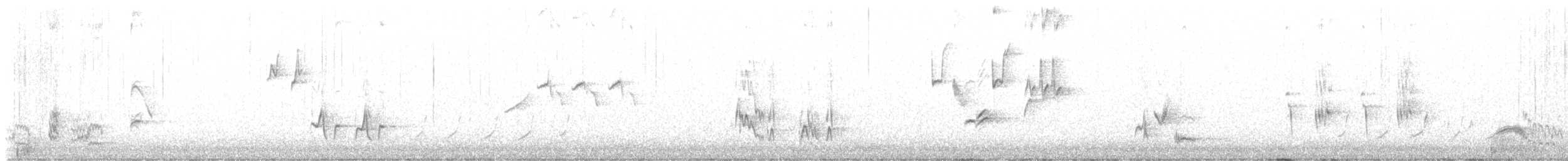 Brown Thrasher - ML617749115
