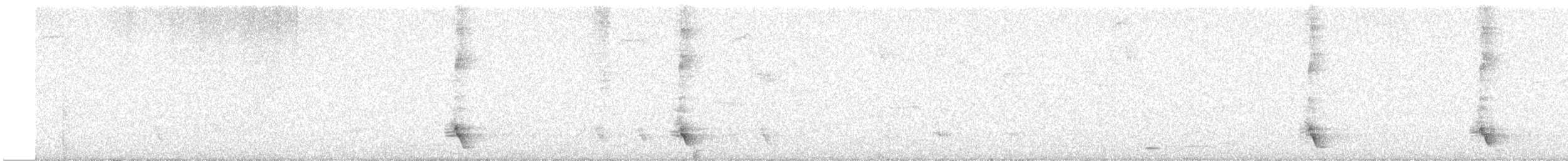 Méliphage carillonneur - ML617750254