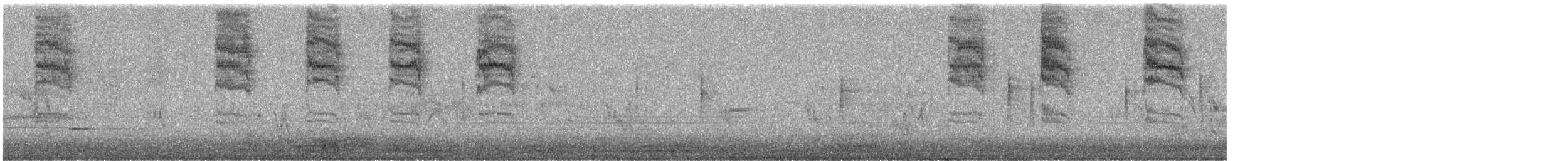 nordmyggsmett (caerulea) - ML617752714