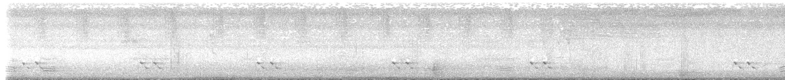 stripediamantfugl (ornatus) - ML617755199