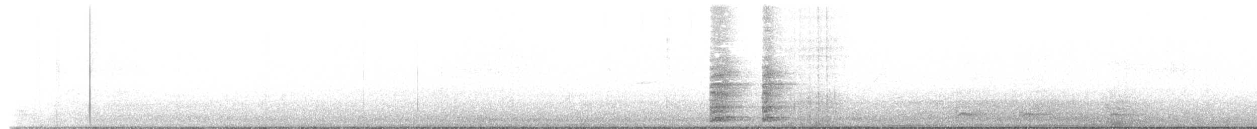 Ring-necked Pheasant - ML617755826