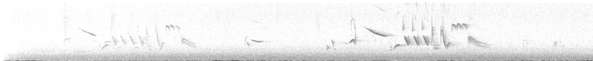 Bruant fauve (groupe megarhyncha) - ML617759712
