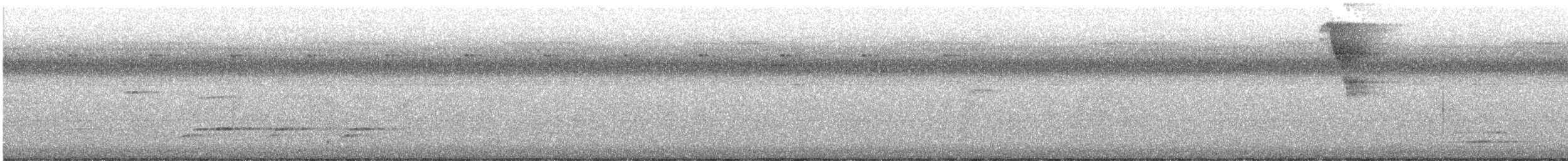 orlík chocholatý - ML617762422