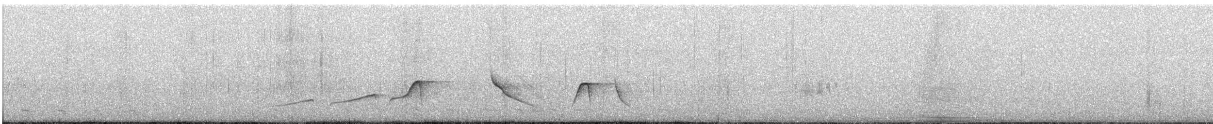 Светлобрюхий тиранн-плакса - ML617762538