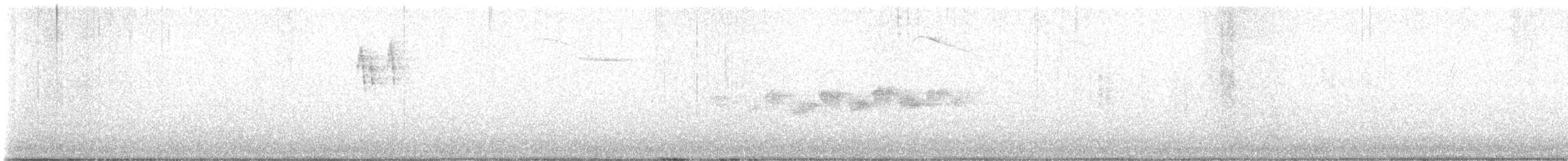 Black-throated Gray Warbler - ML617762773