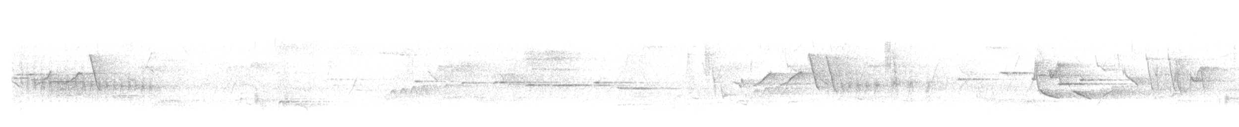 Weißkehl-Fächerschwanz - ML617768988