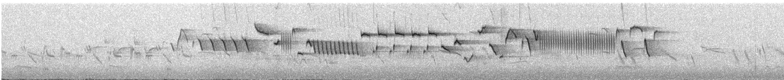 Txepetxa (indigenus) - ML617772052