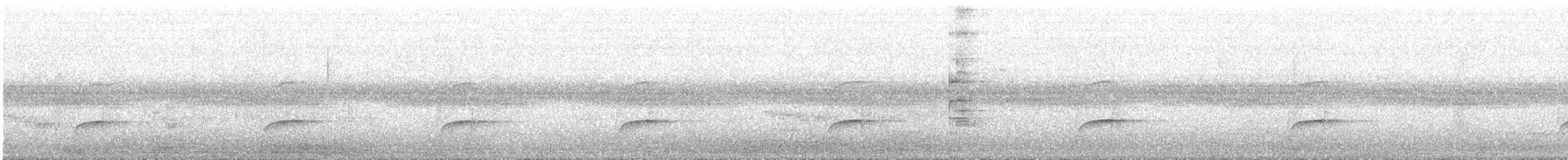 Rufous-tailed Jacamar - ML617773836