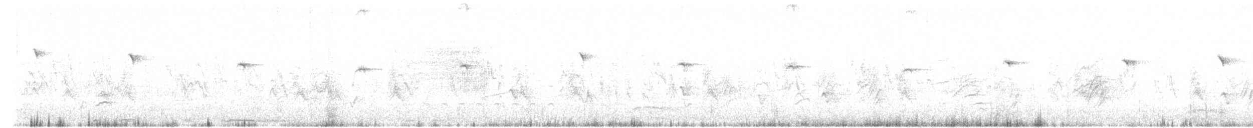kolibřík blankytohrdlý - ML617775064