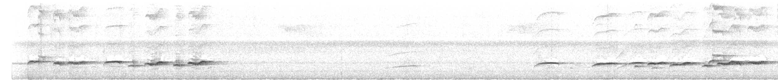 Кустарниковая кукушка (sepulcralis/everetti) - ML617776465