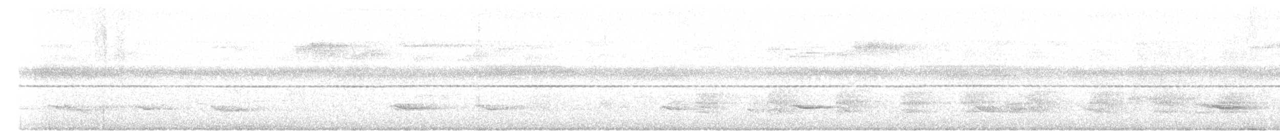 シロボシショウビン - ML617776514